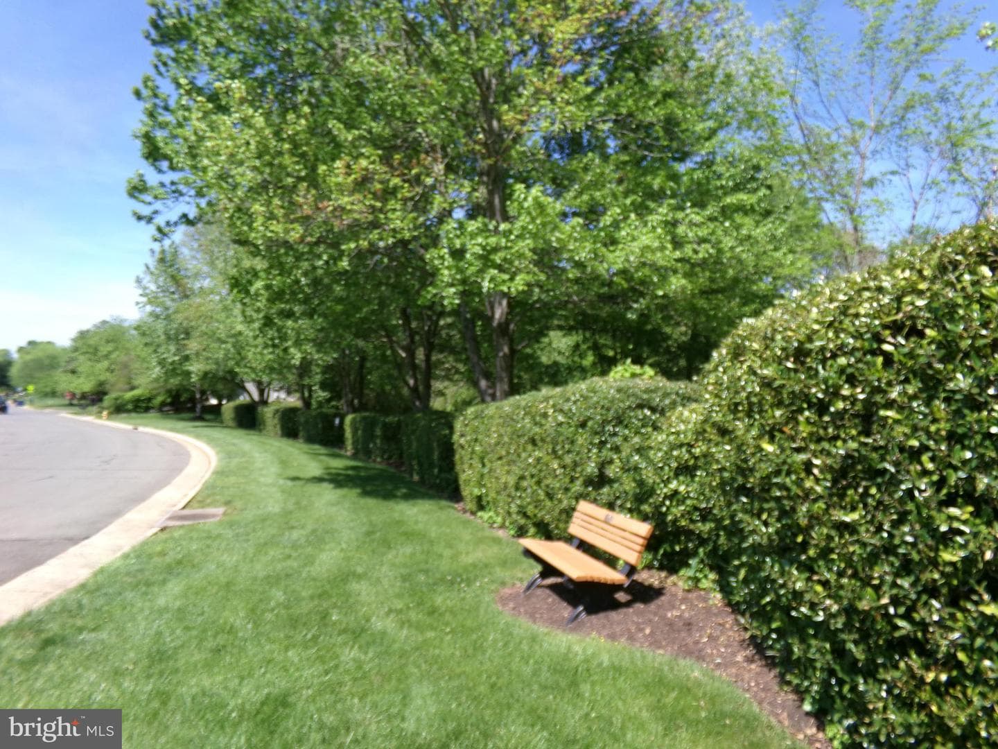 8732 Vanore Place photo 53