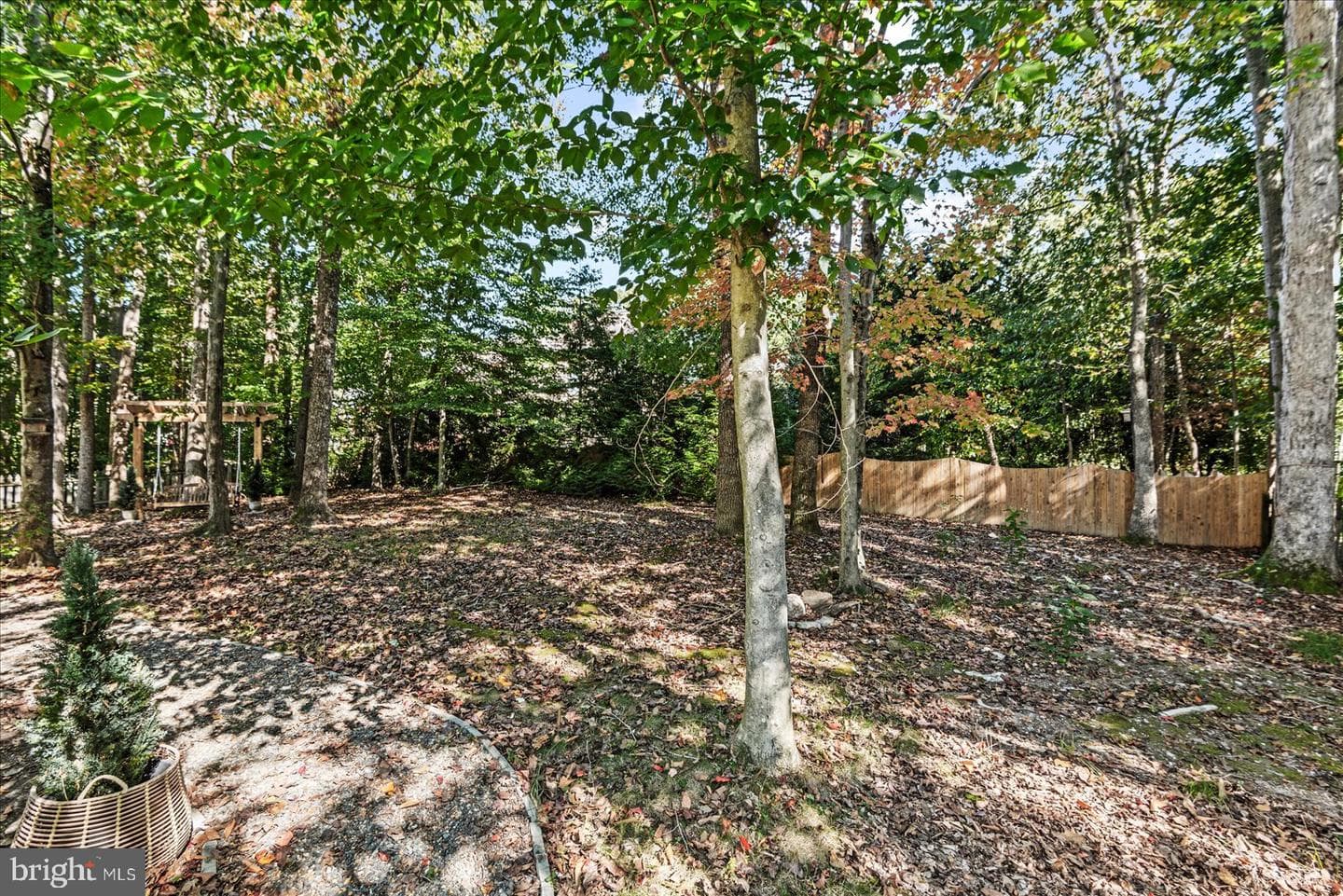 12303 Eliff Way photo 63