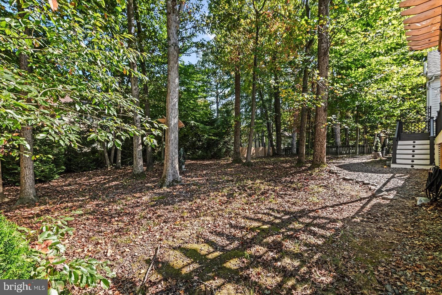 12303 Eliff Way photo 64