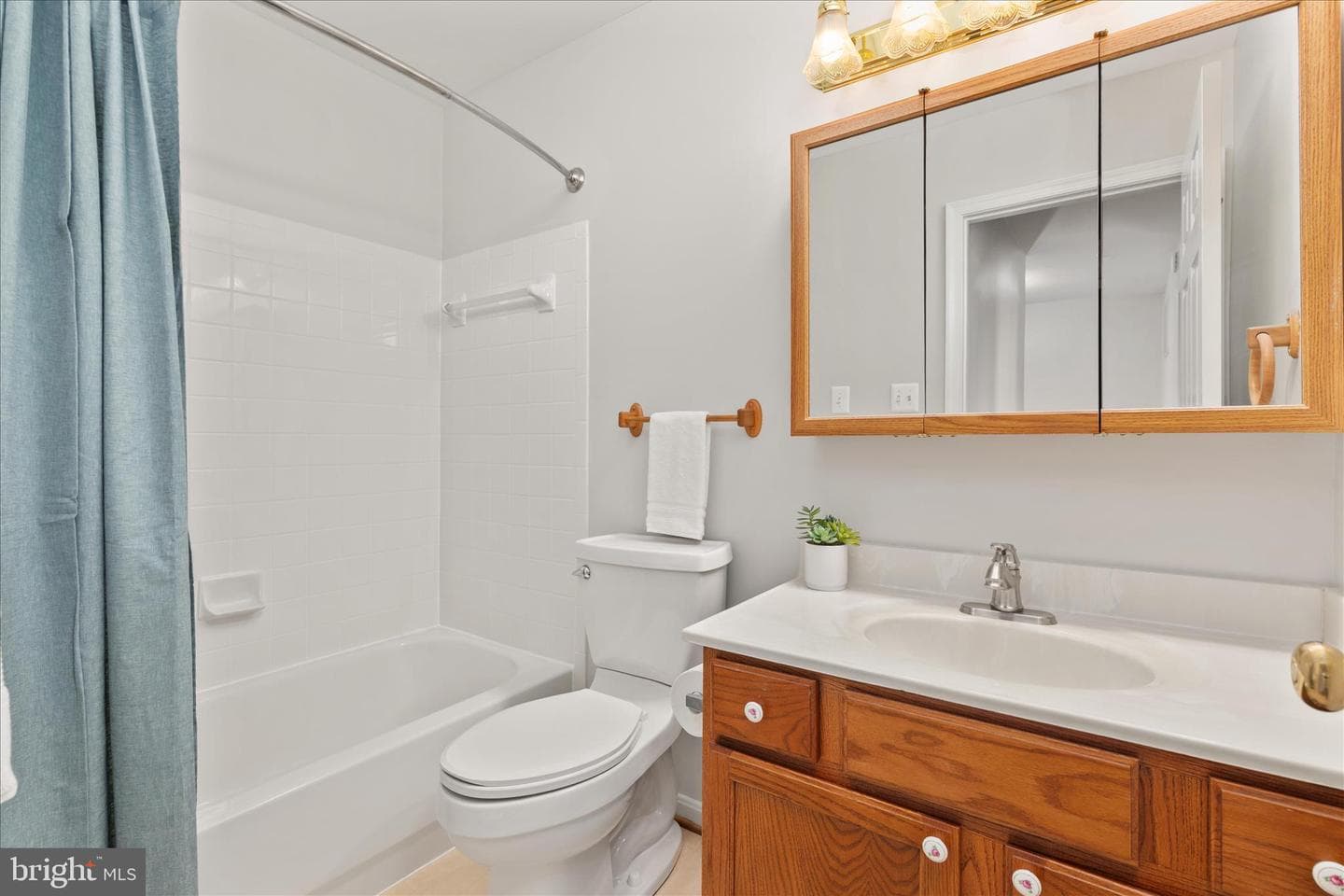8214 Ramseur Place photo 18