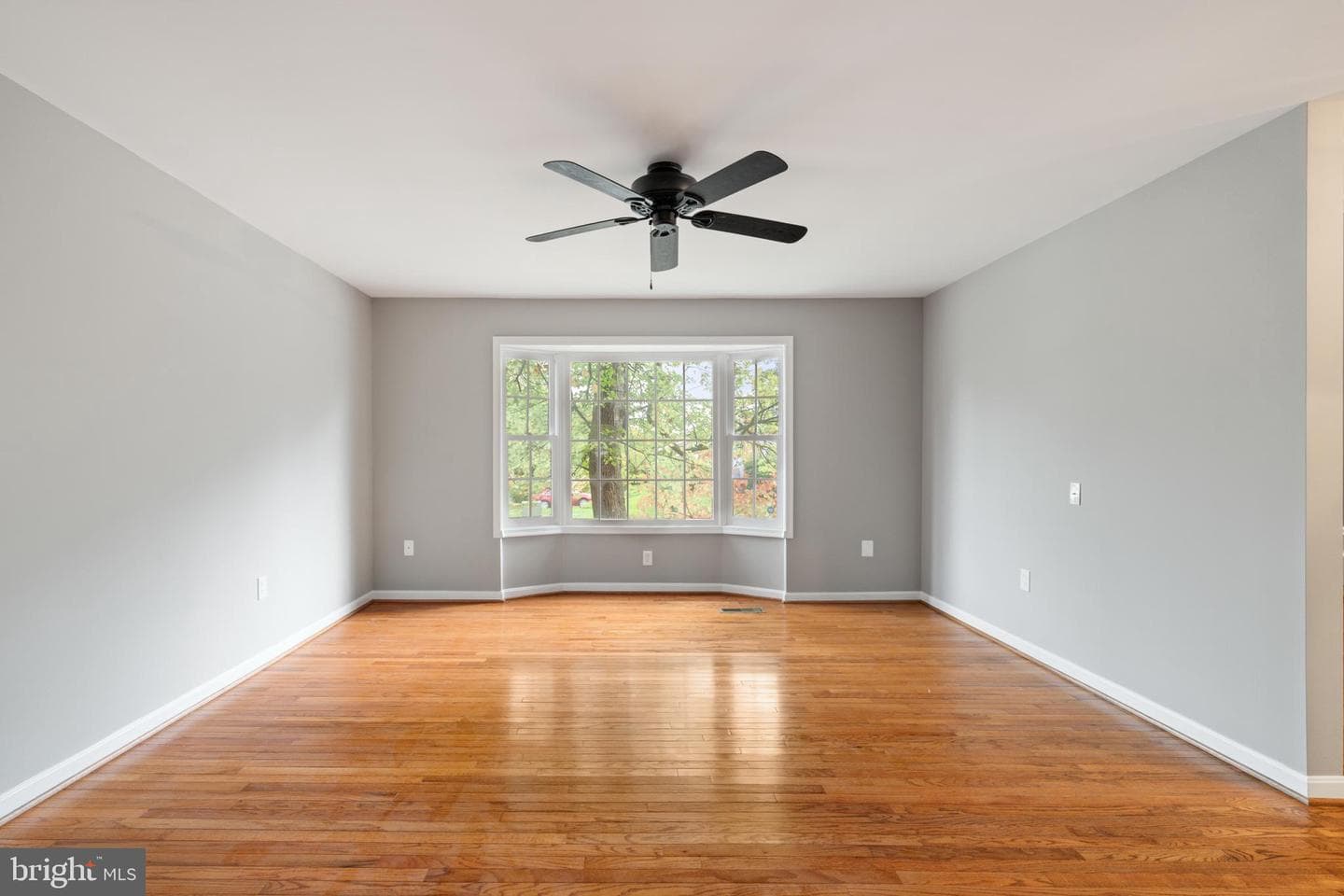 7608 Bland Drive photo 5