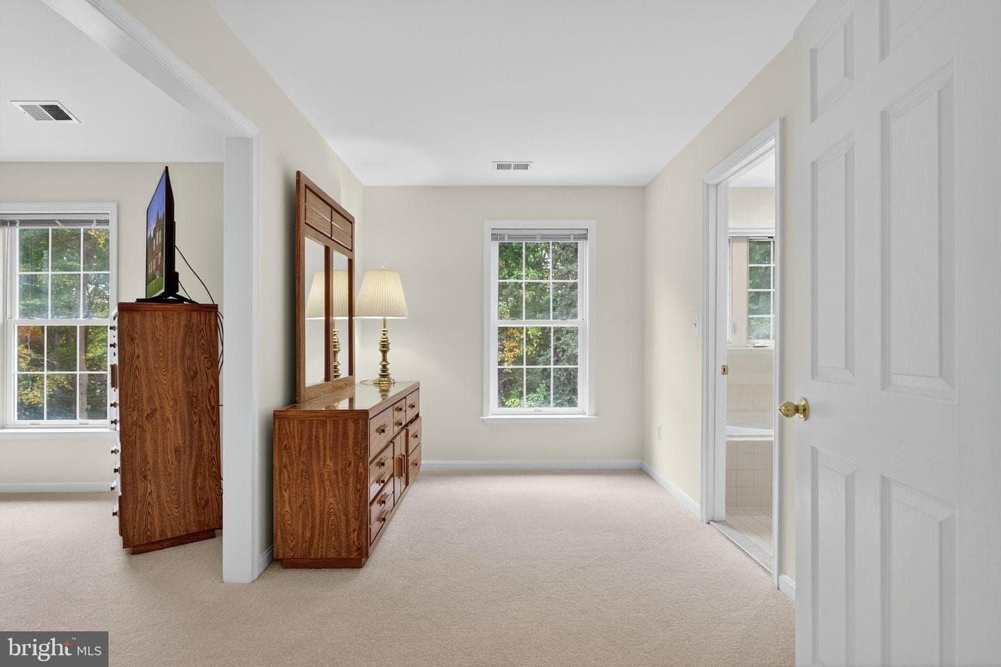 12841 Dusty Willow Road photo 50