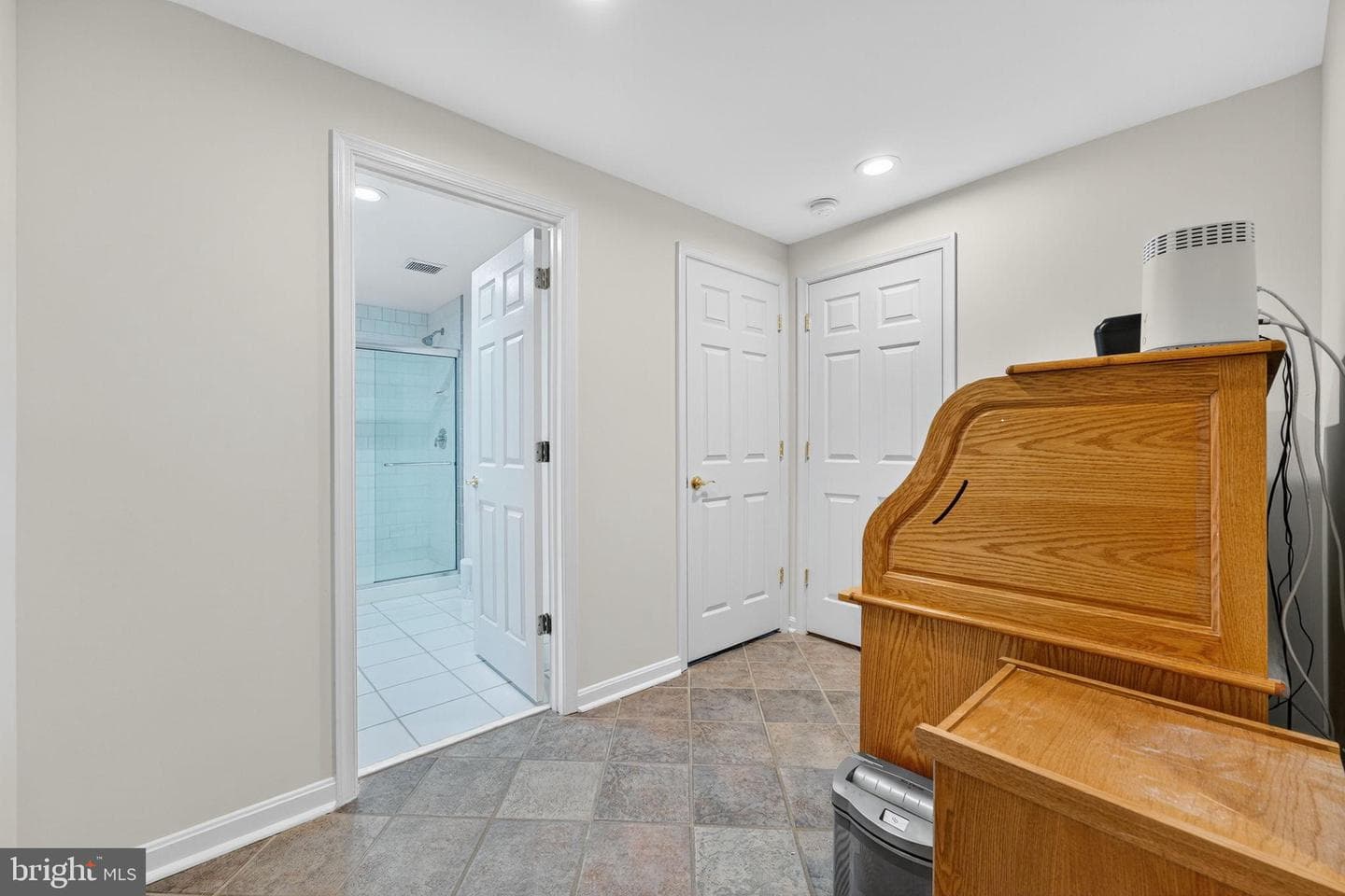 12841 Dusty Willow Road photo 62