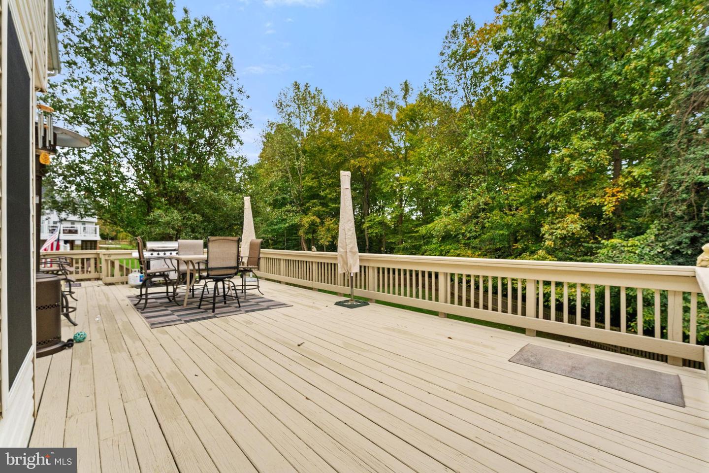 12841 Dusty Willow Road photo 81