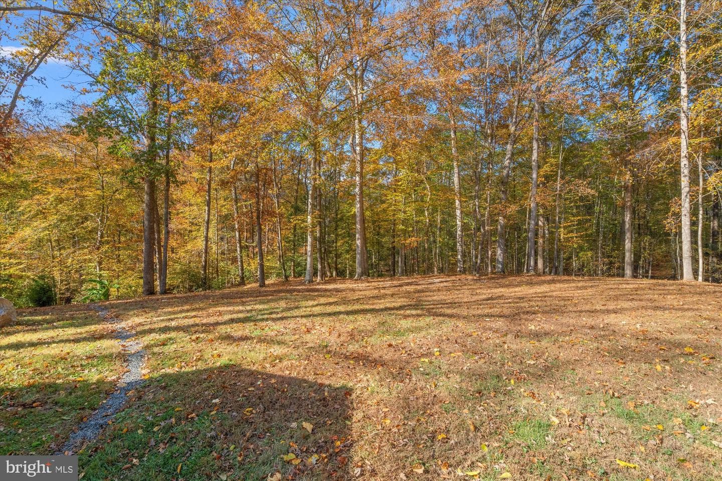14520 Idlebrook Court photo 4