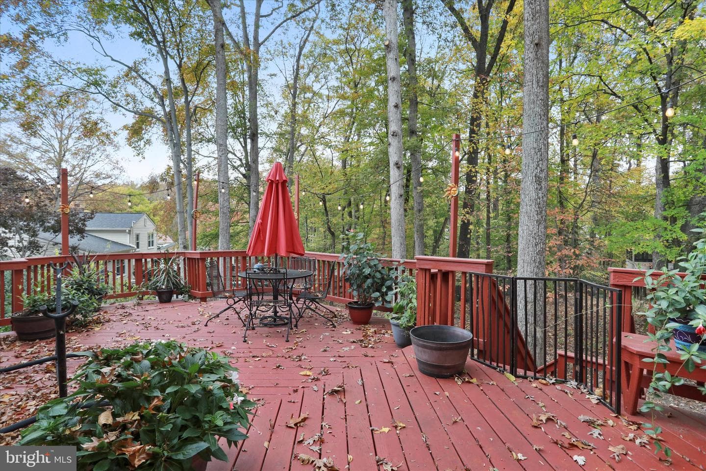 12075 Willowood Drive photo 39