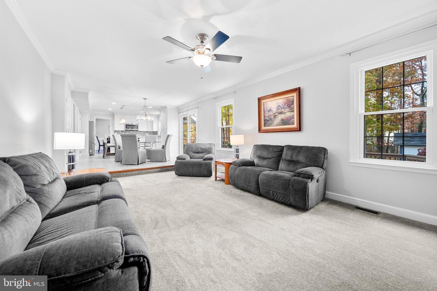 10902 Pennycress Street photo 19