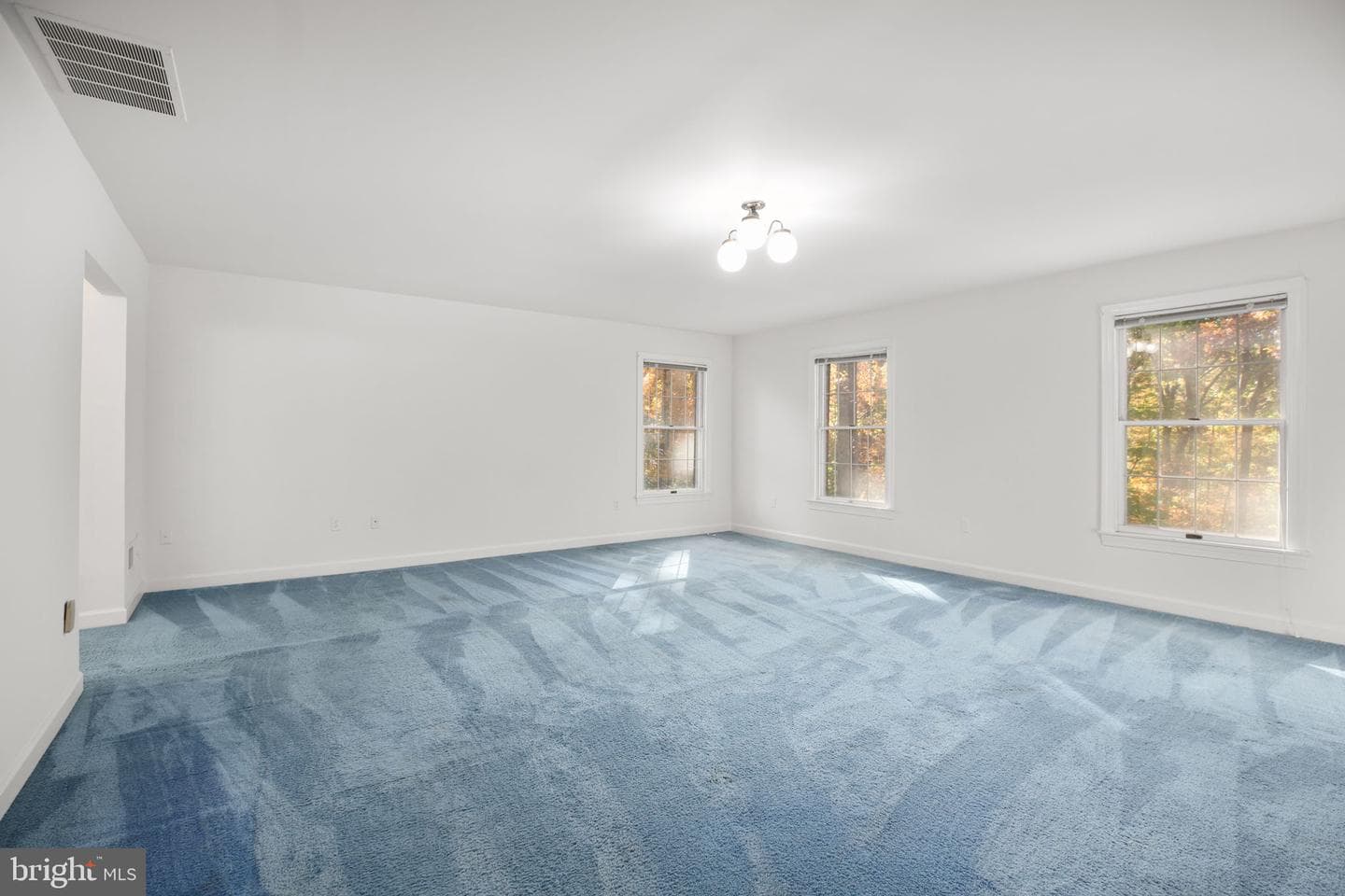 13469 Fowke Lane photo 34