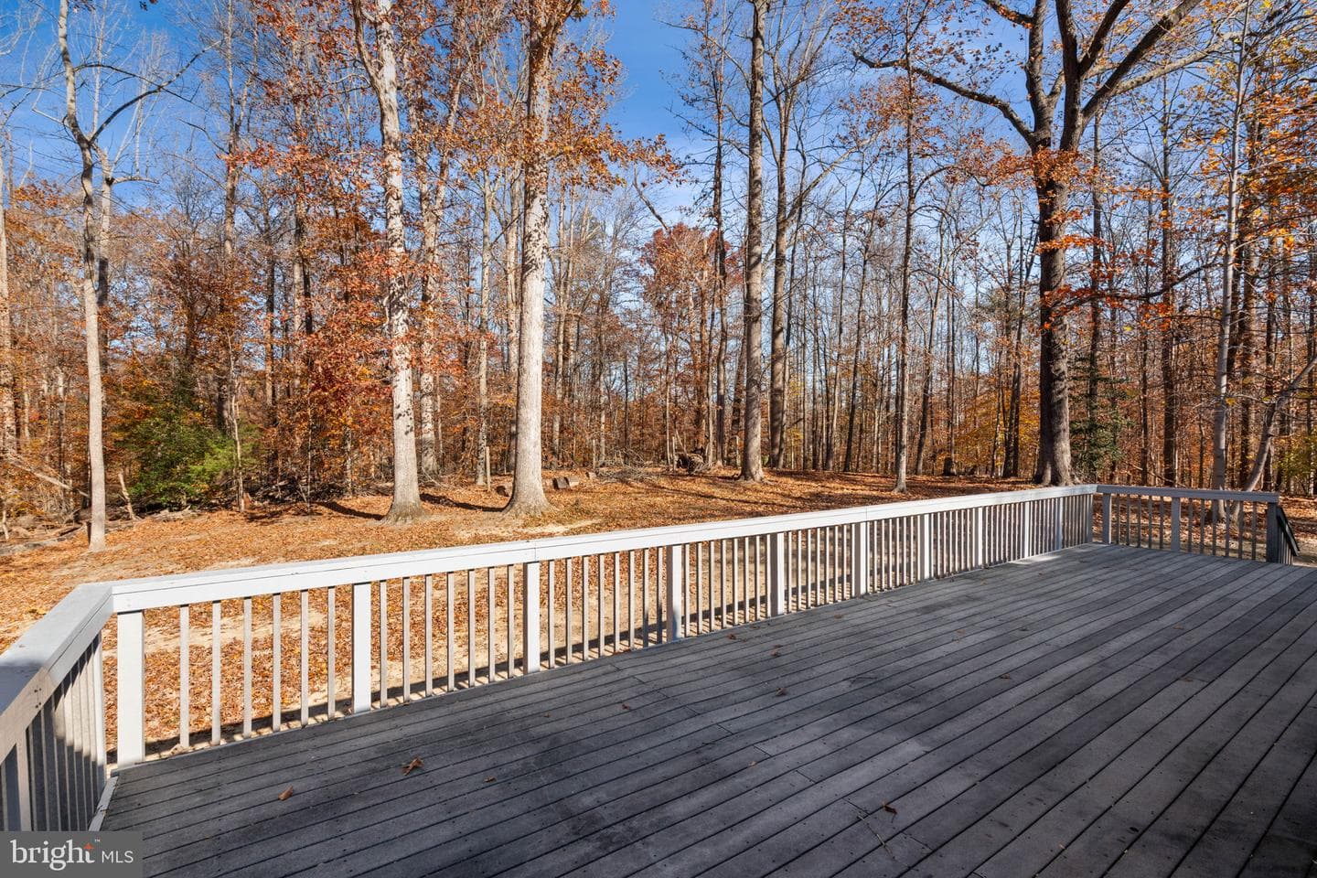 11106 Lake Jackson Drive photo 43