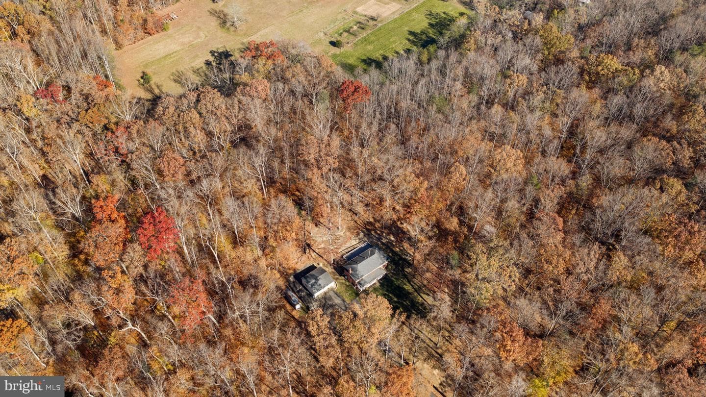 11106 Lake Jackson Drive photo 48