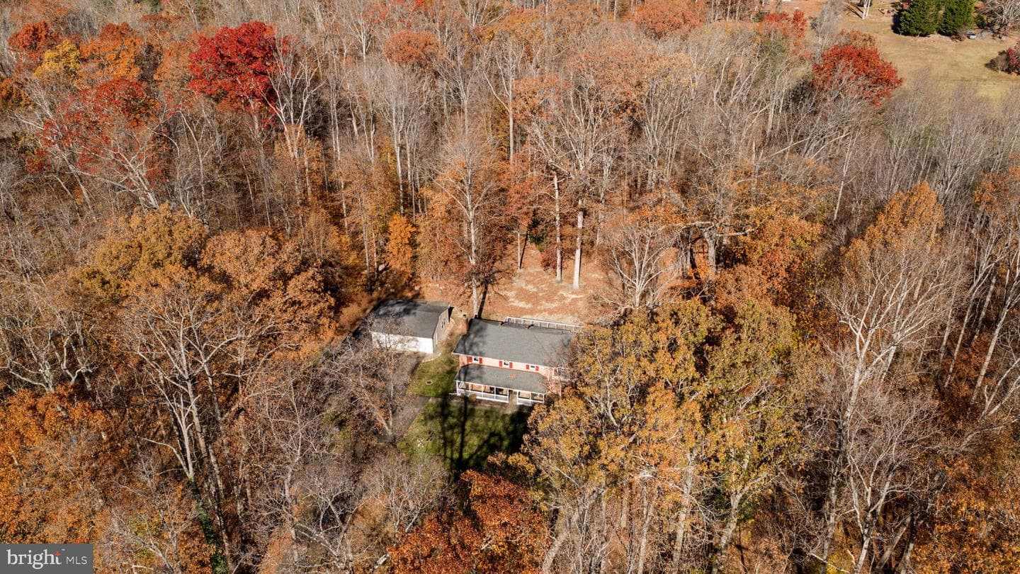 11106 Lake Jackson Drive photo 52