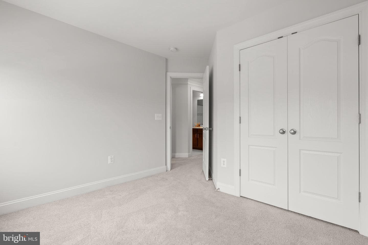 15376 Ballerina Loop photo 28
