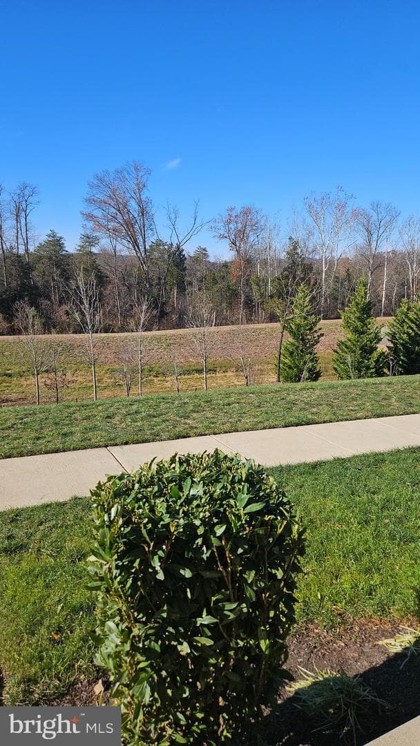 6047 Camerons Ferry Drive photo 4