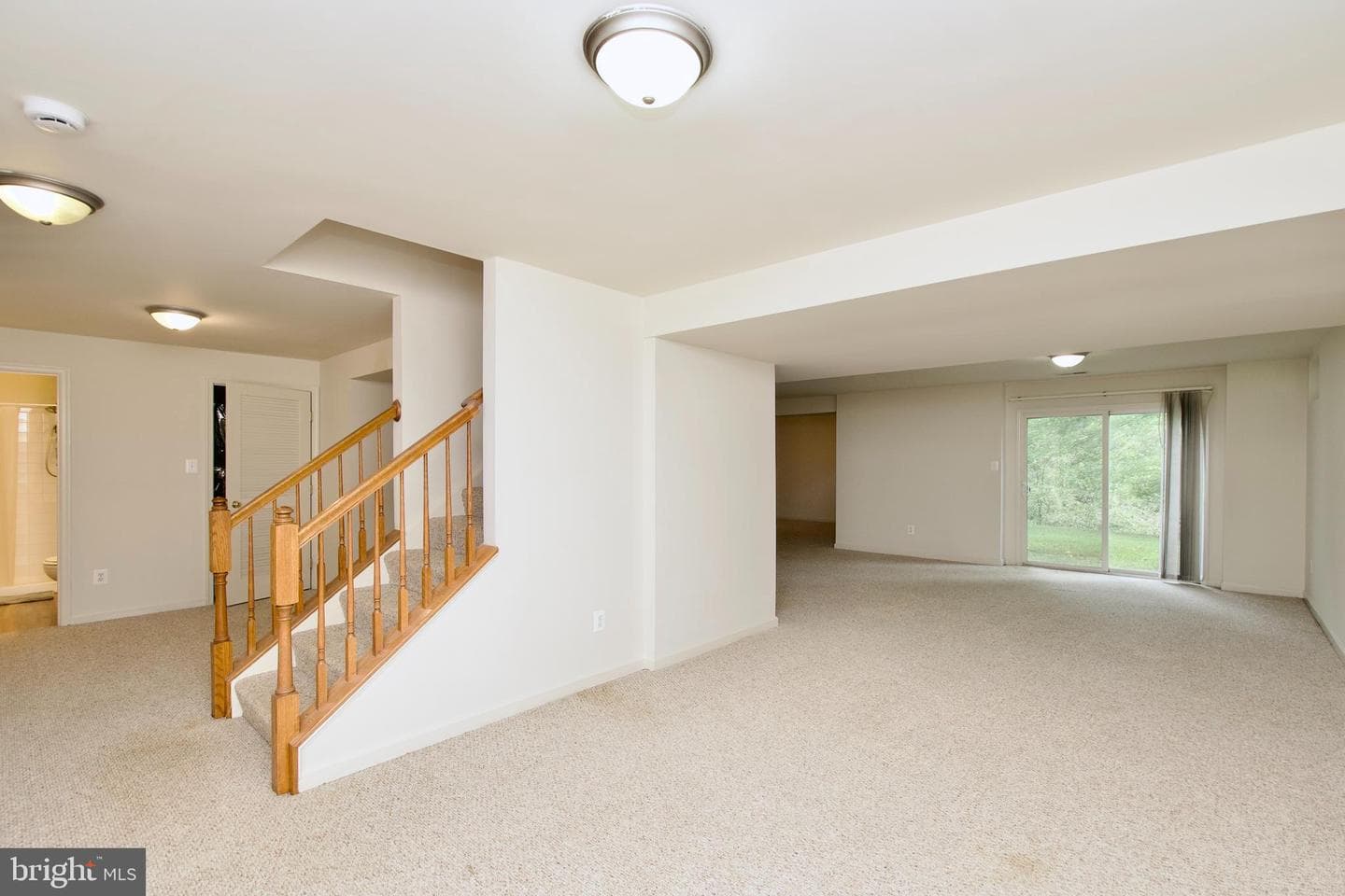 15417 Bald Eagle Lane photo 46