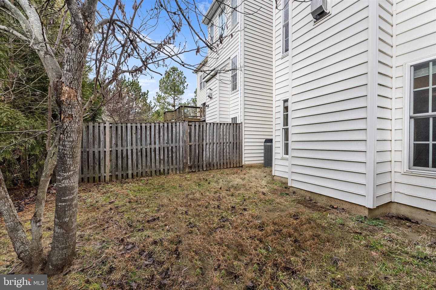 2509 Oak Tree Lane photo 41