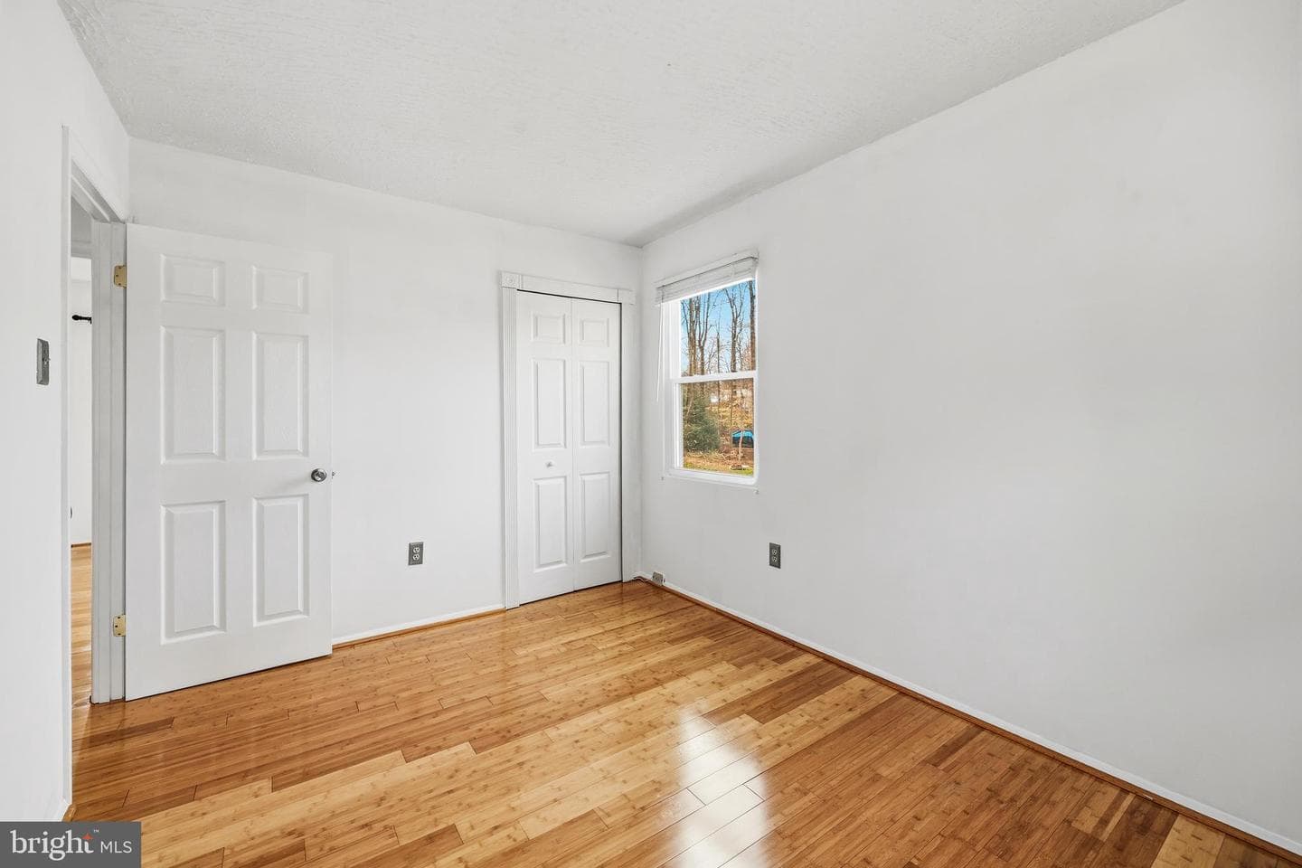 2509 Tabor Court photo 19