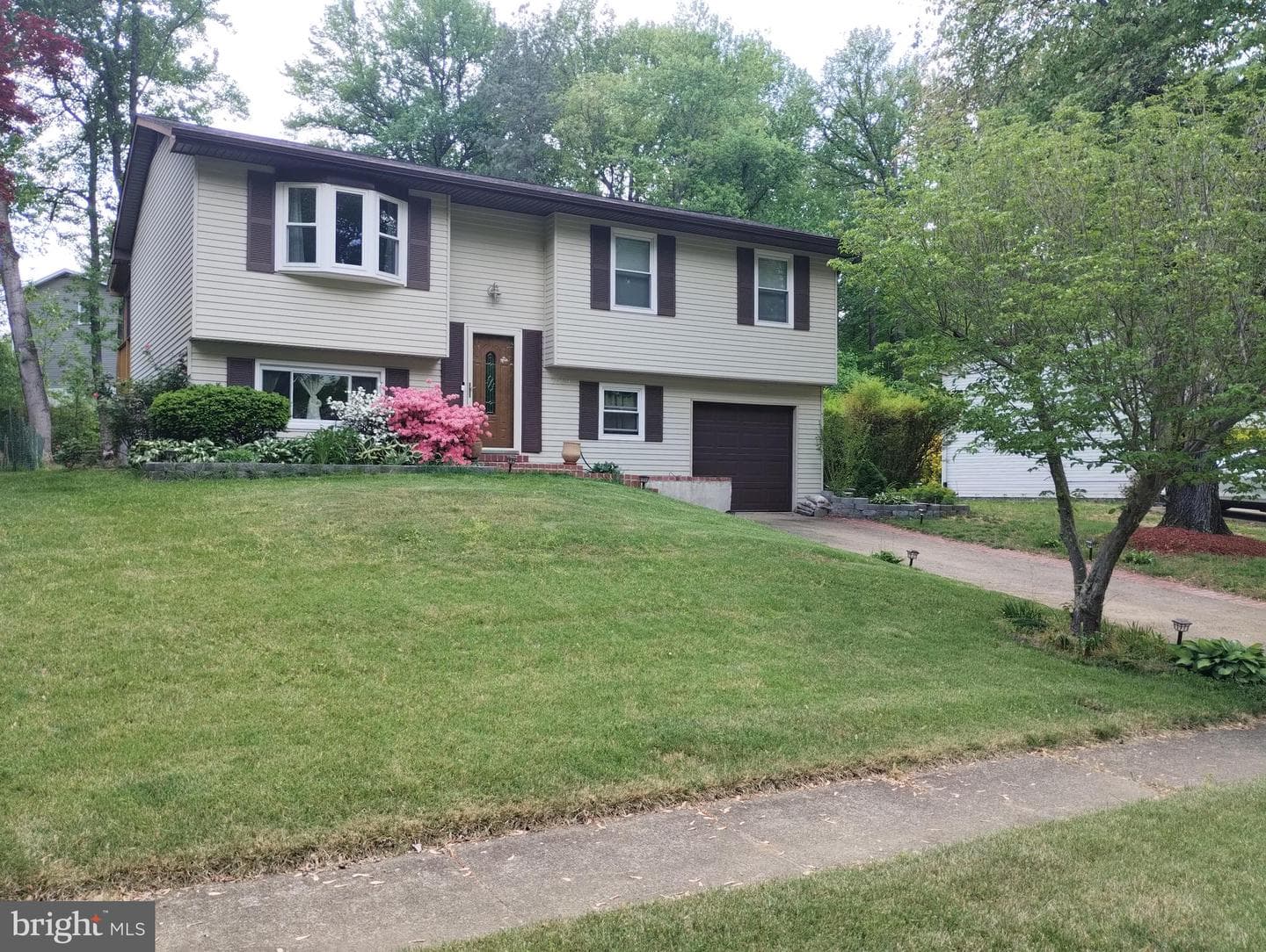 2509 Tabor Court photo 4