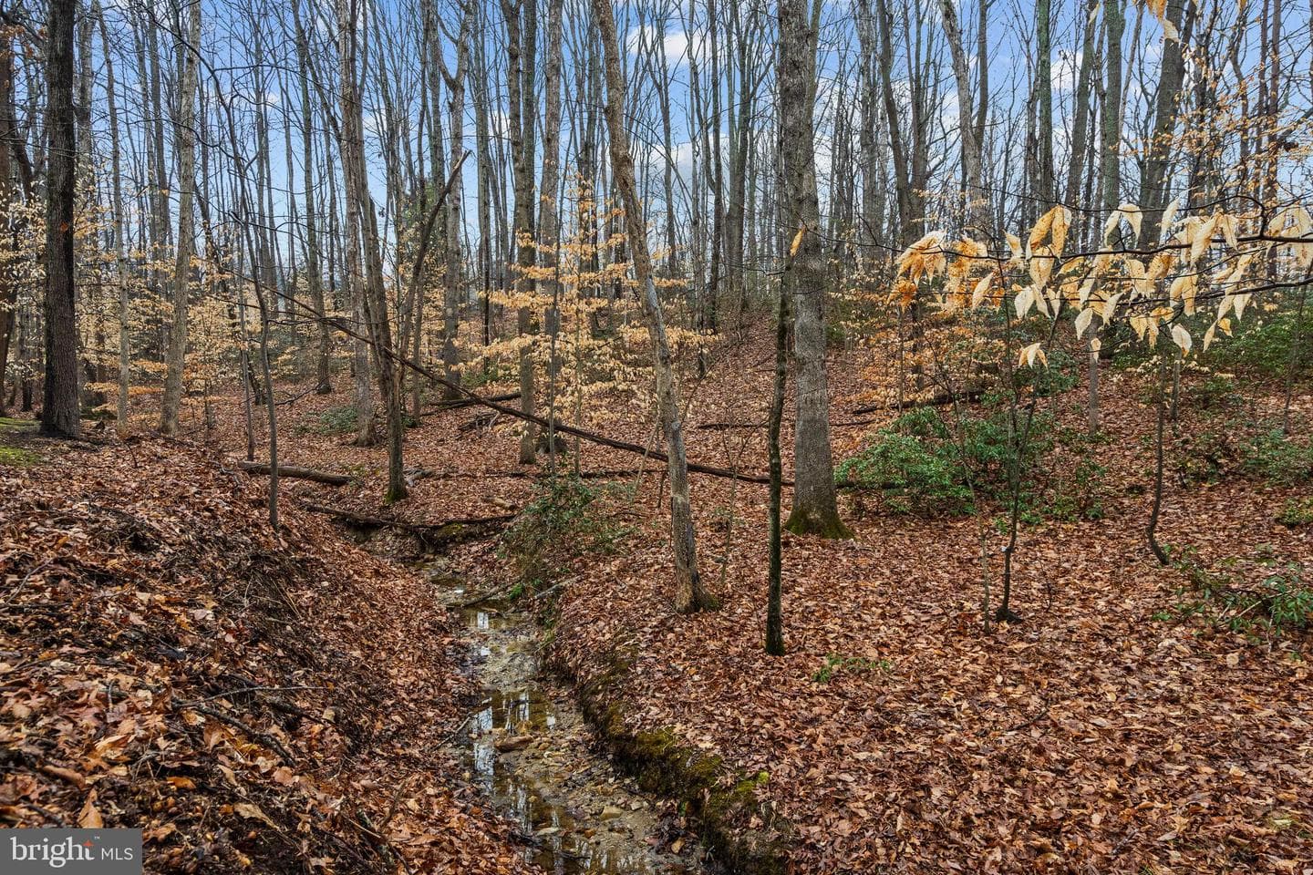 4464 Briton Court photo 38