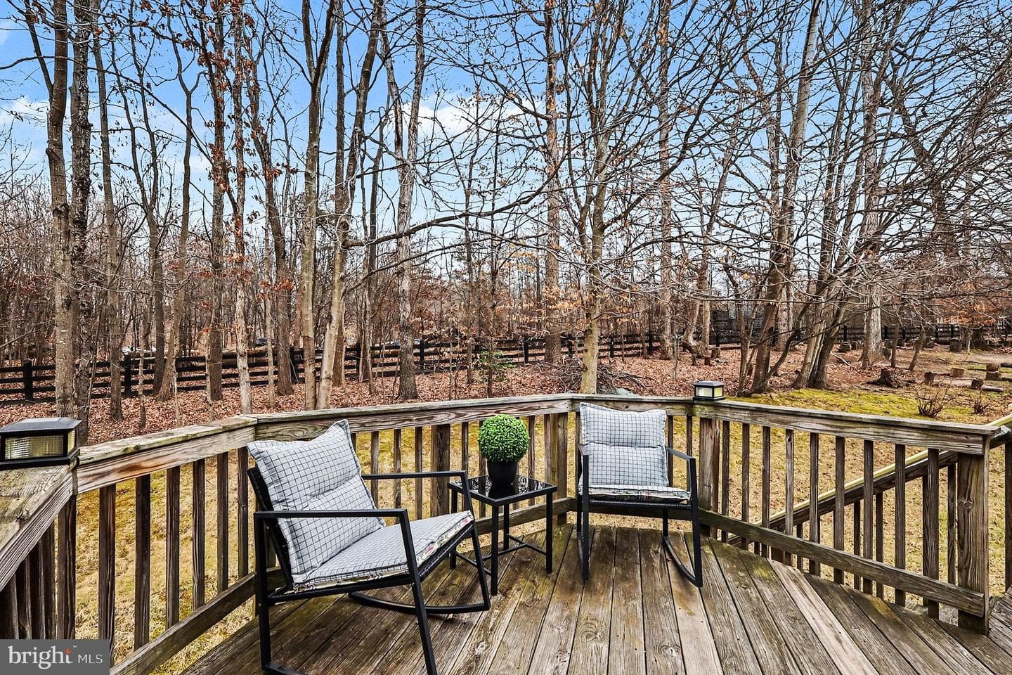 12935 Morning Dew Drive photo 14