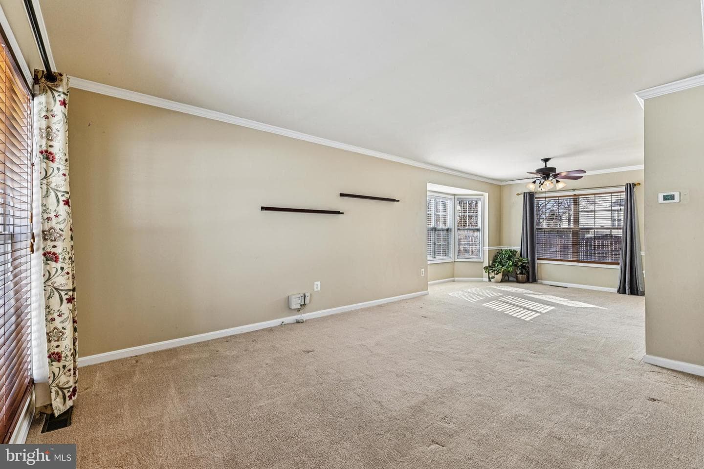 7785 Albert Myer Court photo 5
