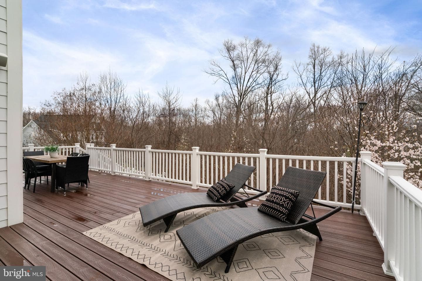 17211 Miss Packard Court photo 44