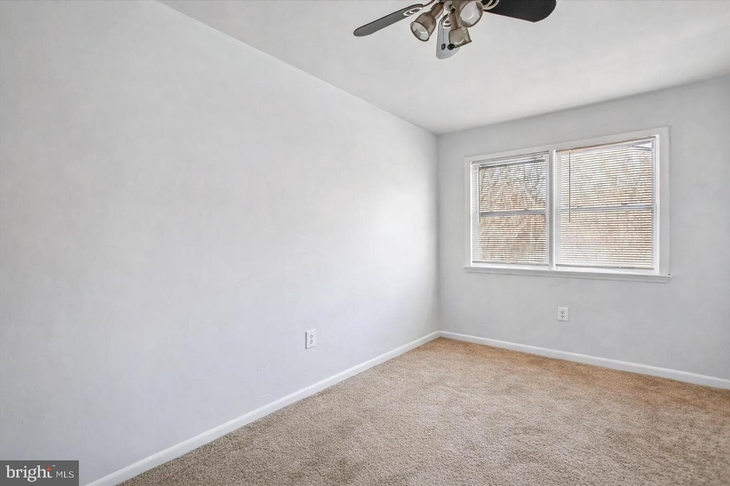 4136 Ferrara Terrace photo 22