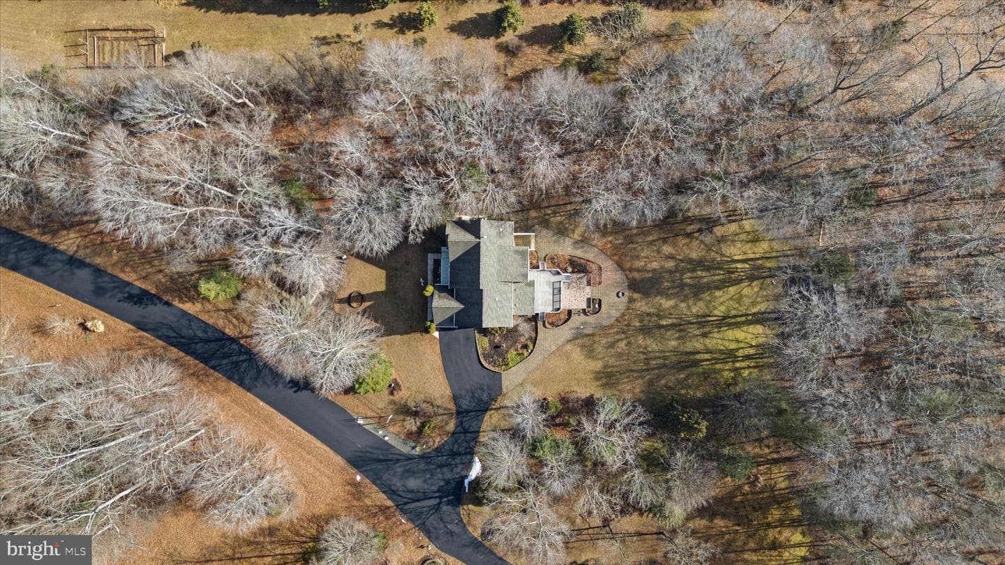 11021 Winding Brook Court photo 65