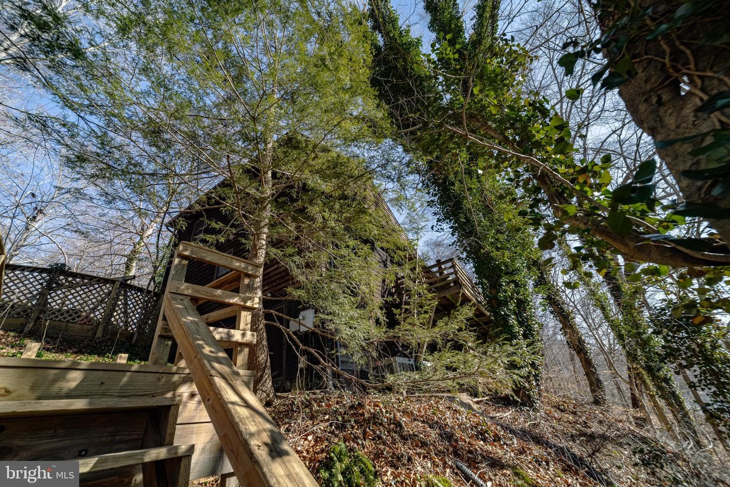 10754 Lake Forest Drive photo 12