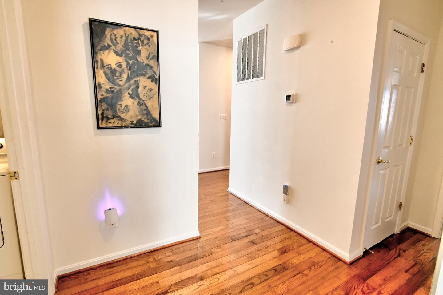 13170 Triple Crown Loop photo 41