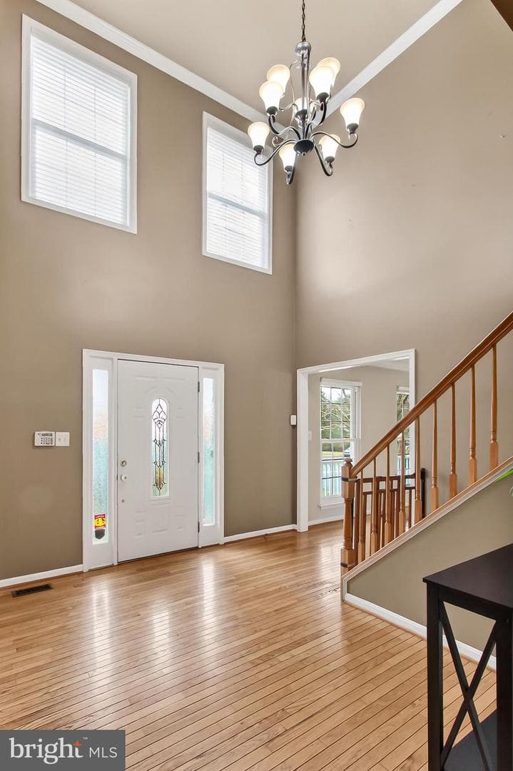 10501 Winged Elm Circle photo 10