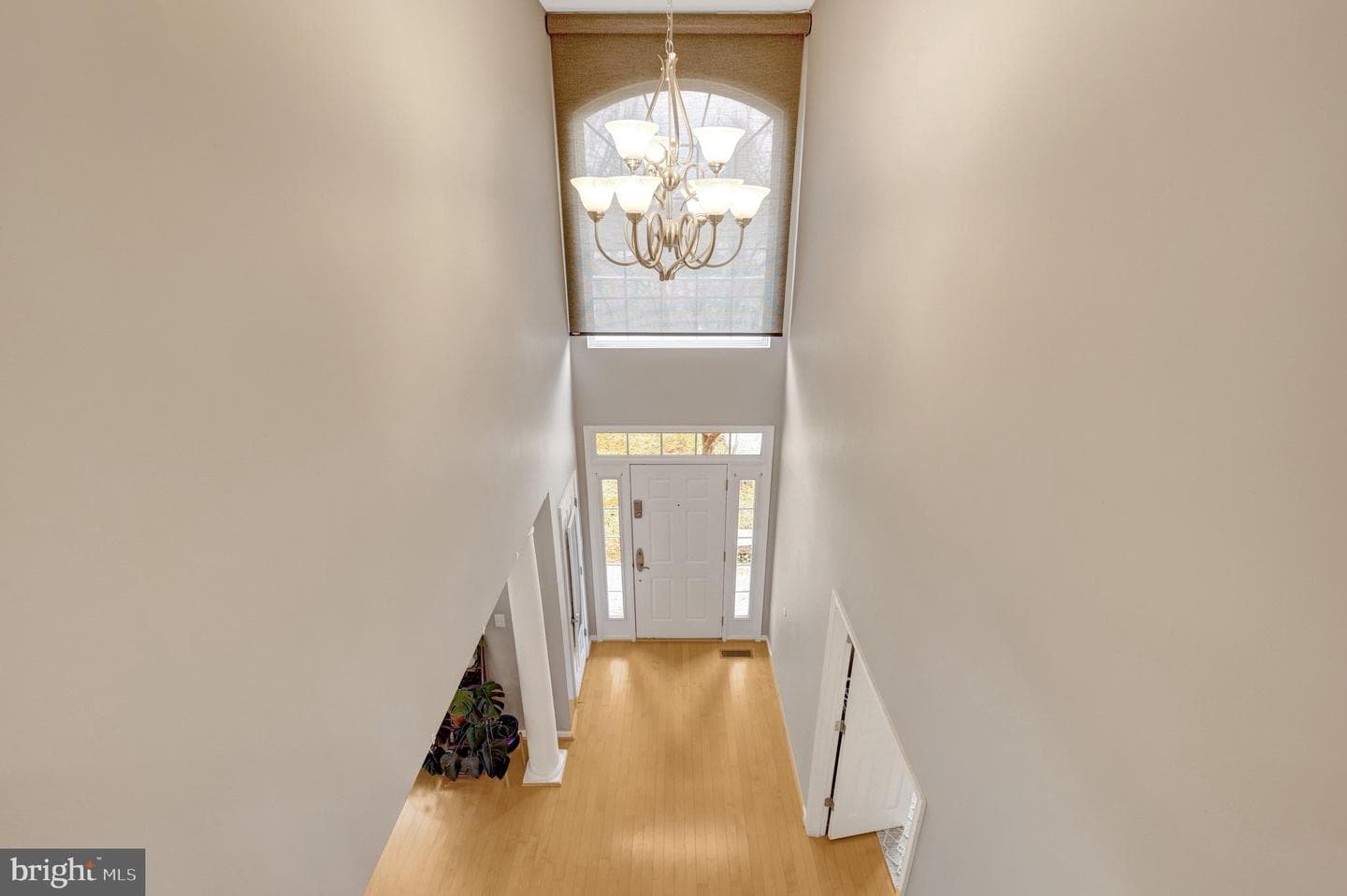 8360 Tenbrook Drive photo 45