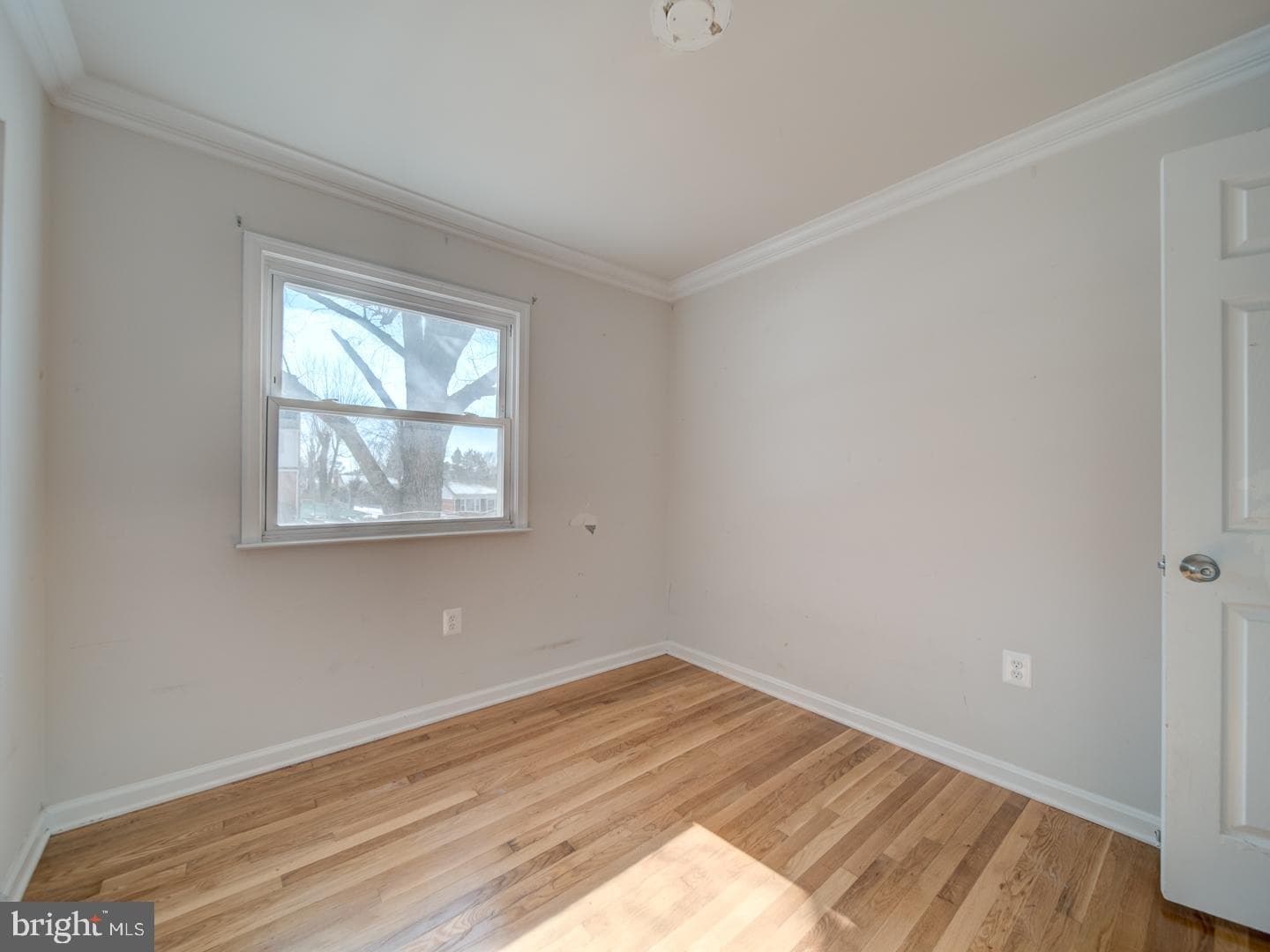 2908 Alliance Lane photo 21