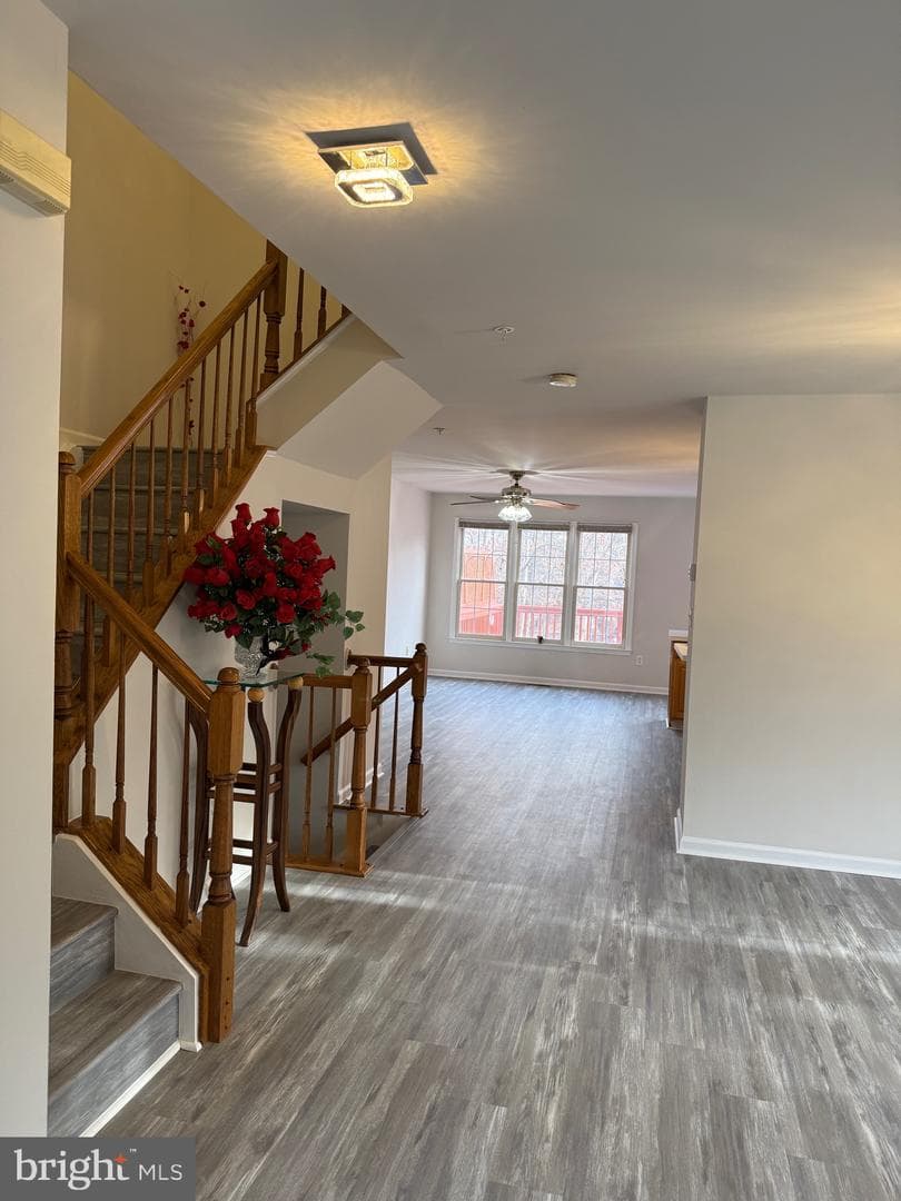 3982 Brussels Way photo 24