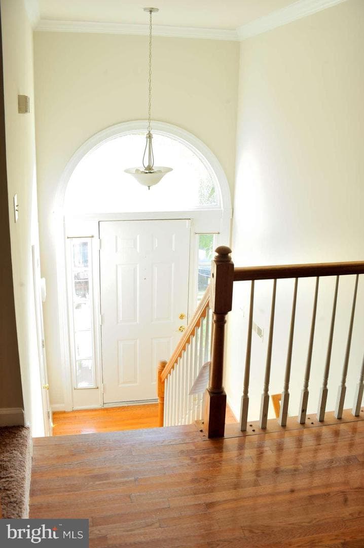 12143 Abbey Glen Court photo 7