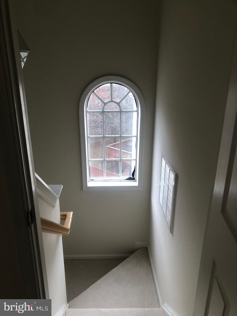 4091 Cressida Place photo 24