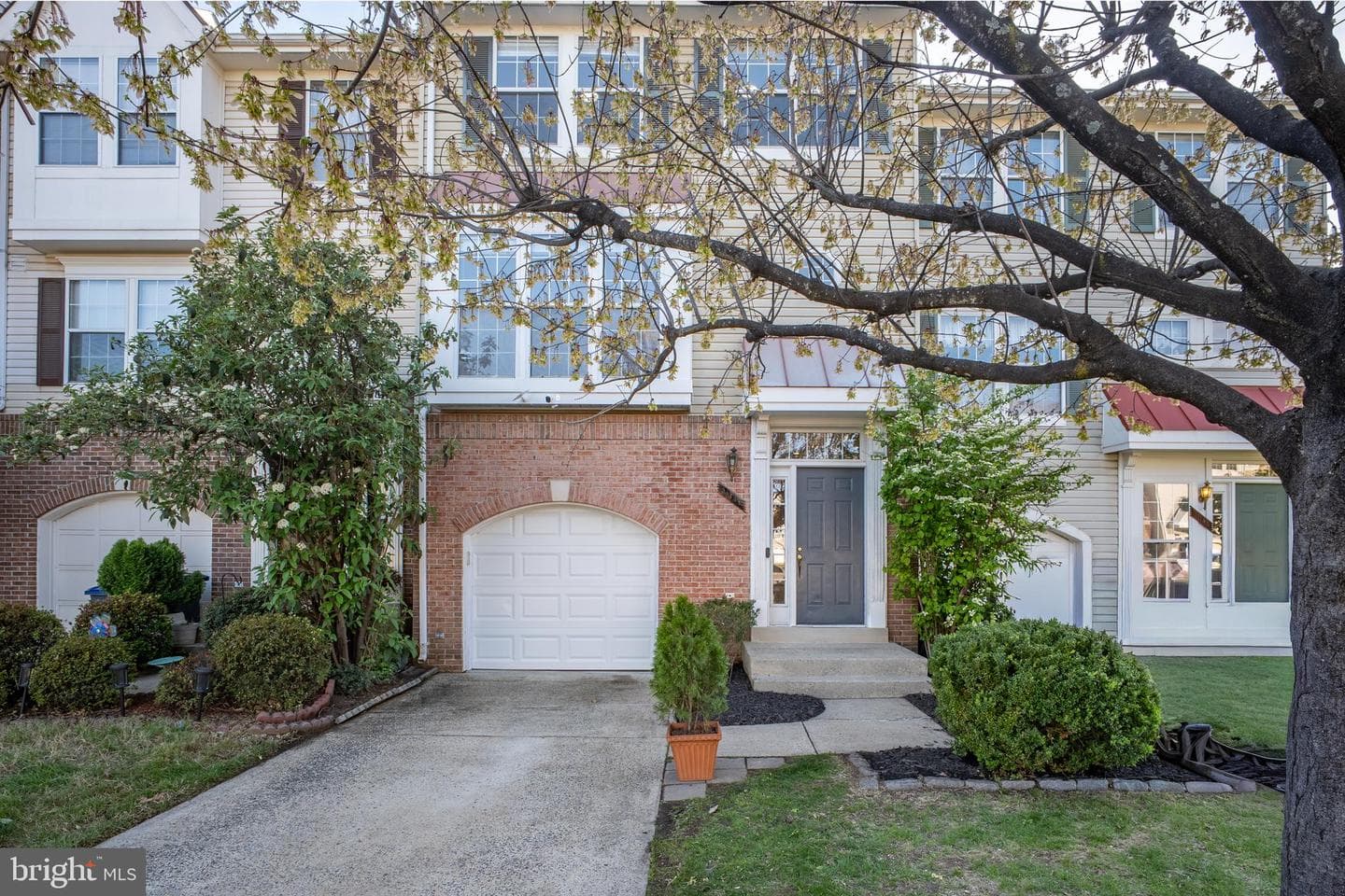 11141 Luxberry Court photo 2