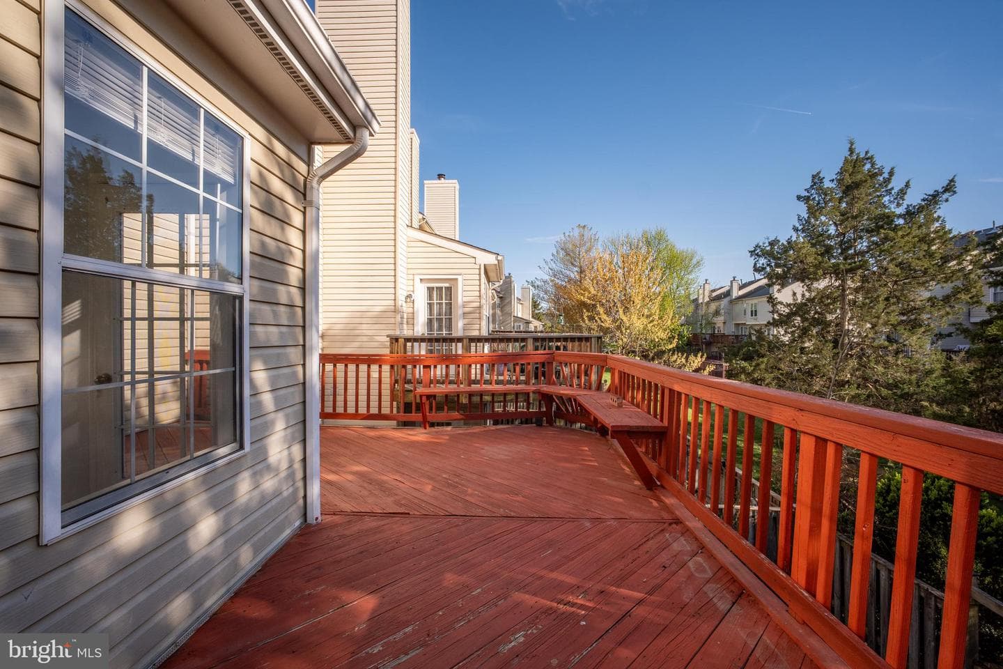 11141 Luxberry Court photo 21