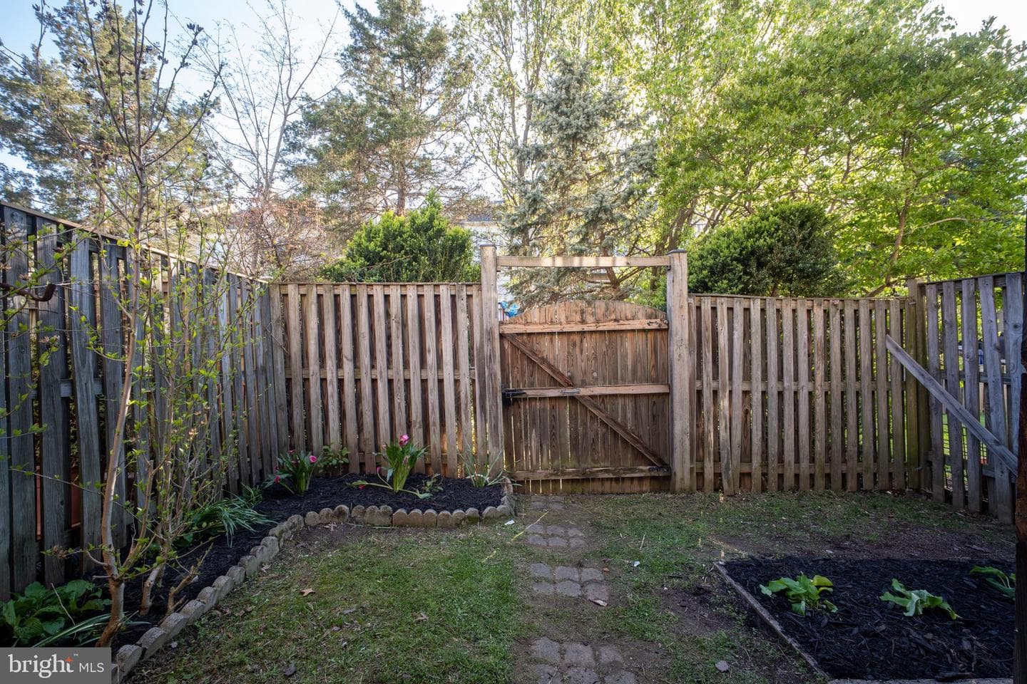 11141 Luxberry Court photo 50