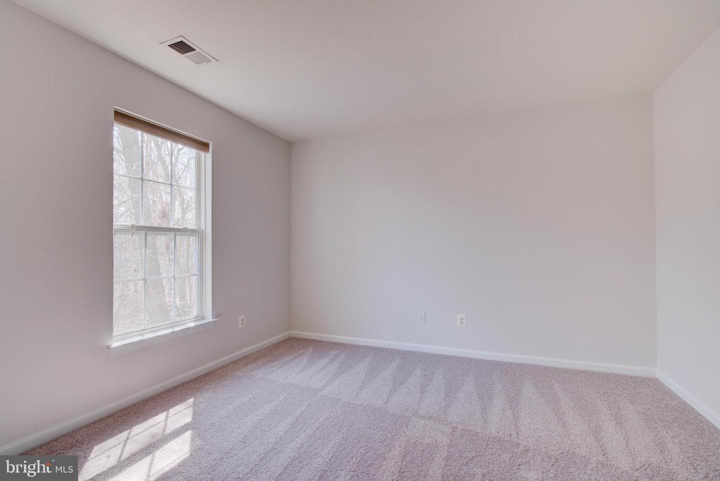 13124 Kinnicutt Drive photo 36