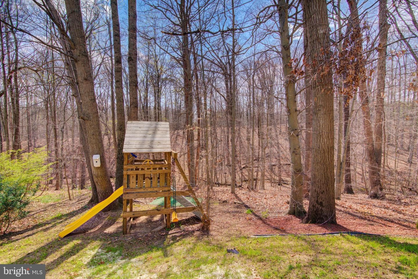 13124 Kinnicutt Drive photo 58
