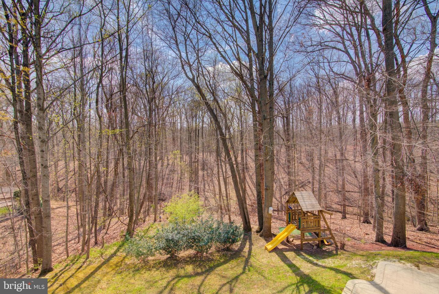 13124 Kinnicutt Drive photo 60