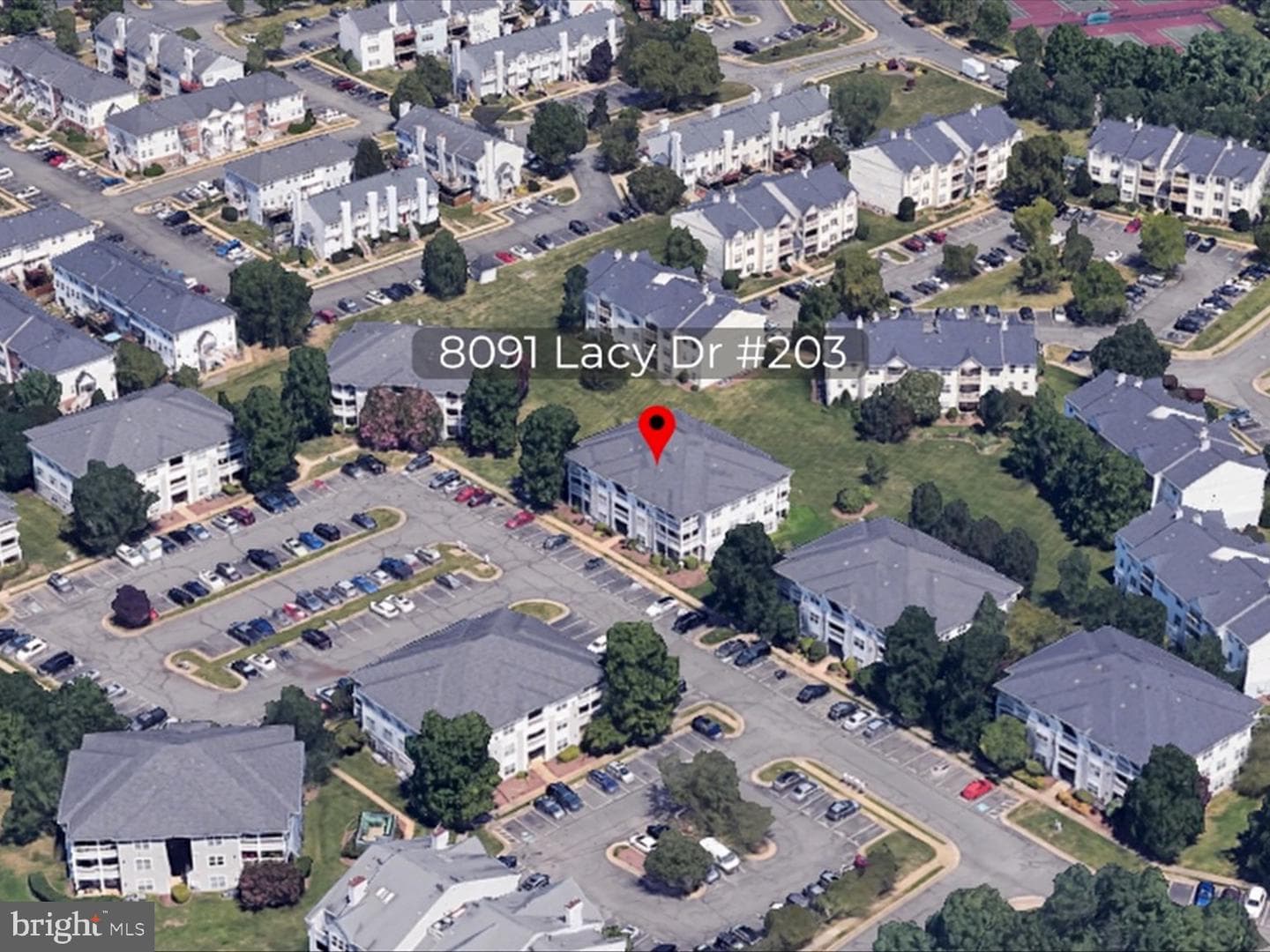 8091 Lacy Drive #203 photo 2