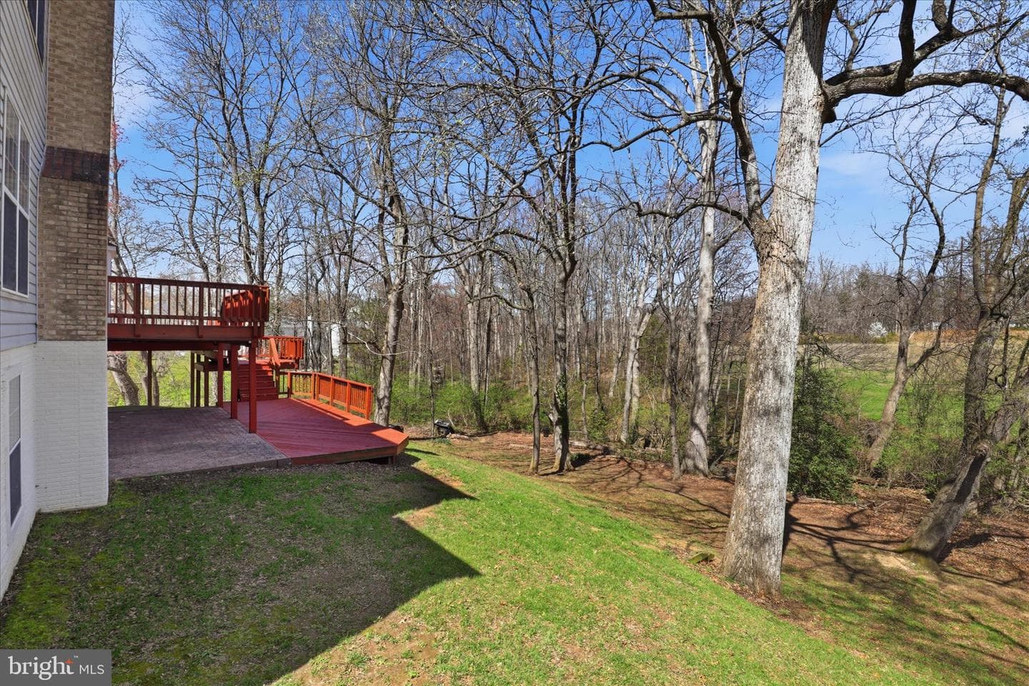 13201 Mountain Ash Court photo 52