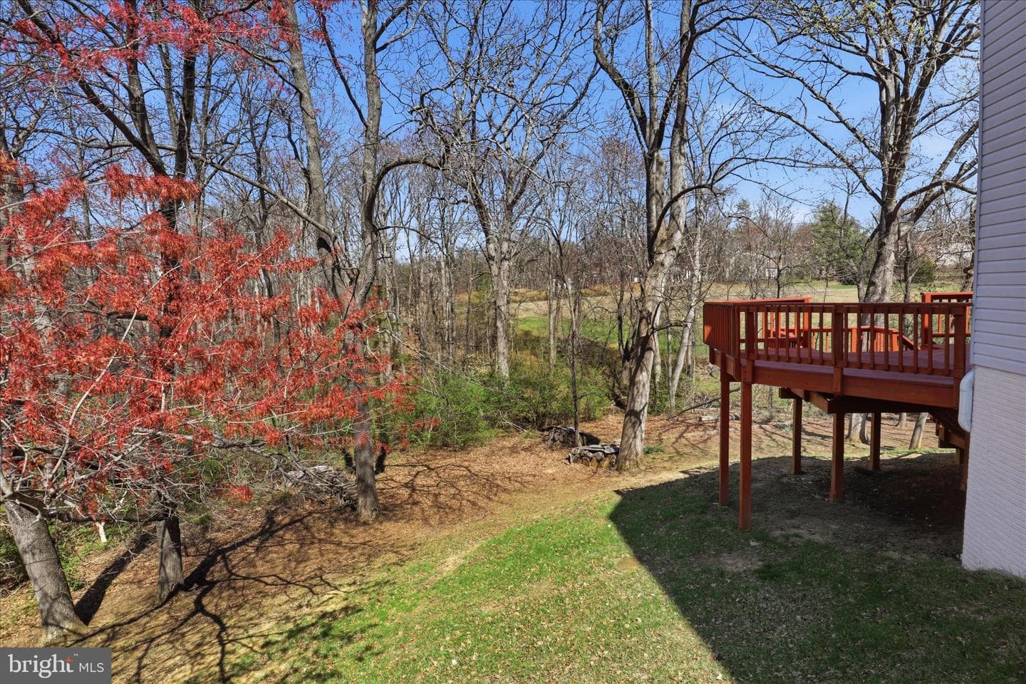 13201 Mountain Ash Court photo 53