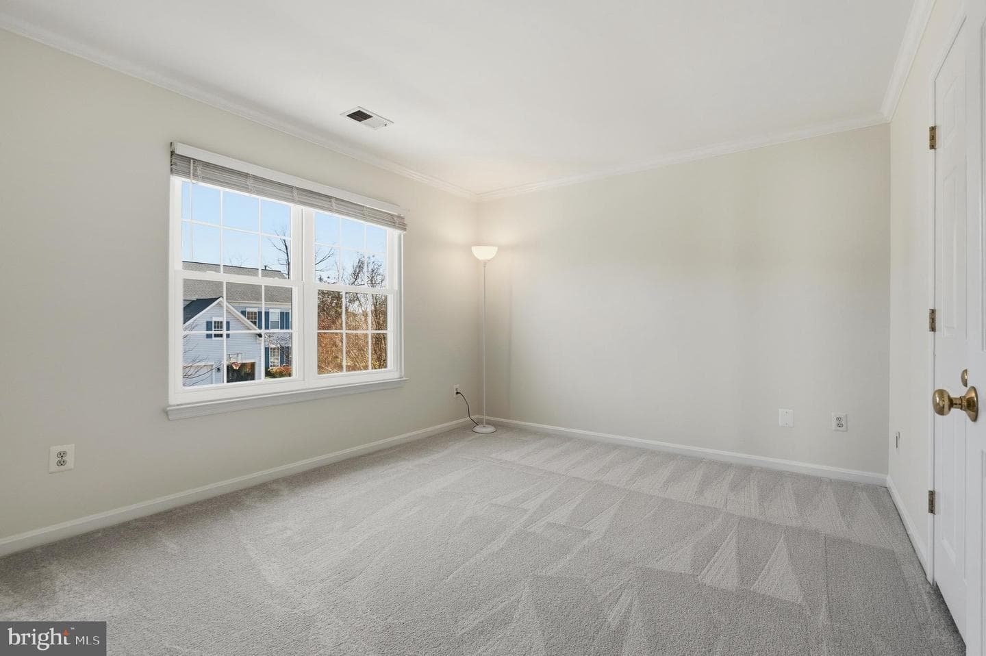 10052 Naughton Court photo 44