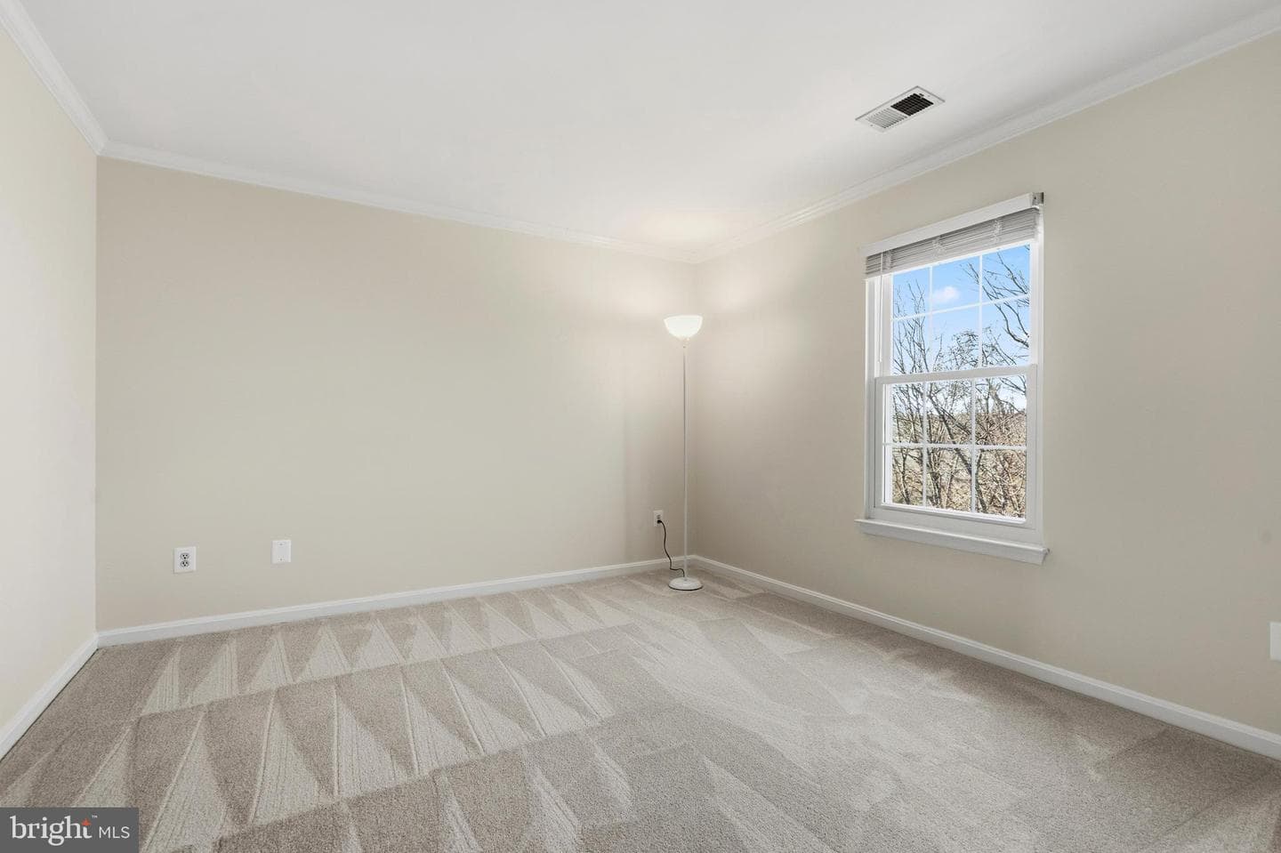 10052 Naughton Court photo 46
