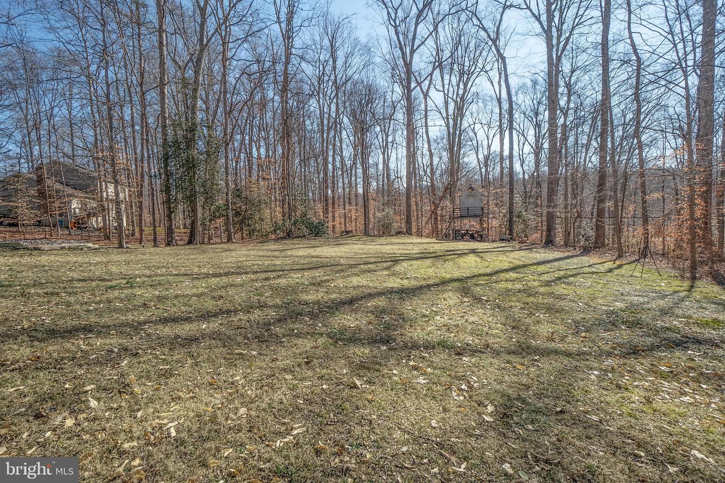 7779 Fern Oak Court photo 52