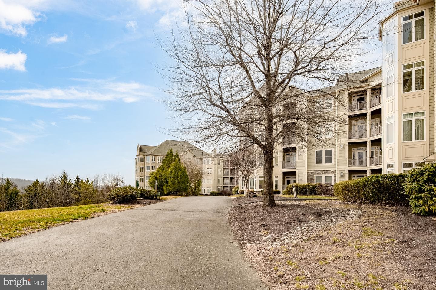 1621 Ladue Court #207 photo 51