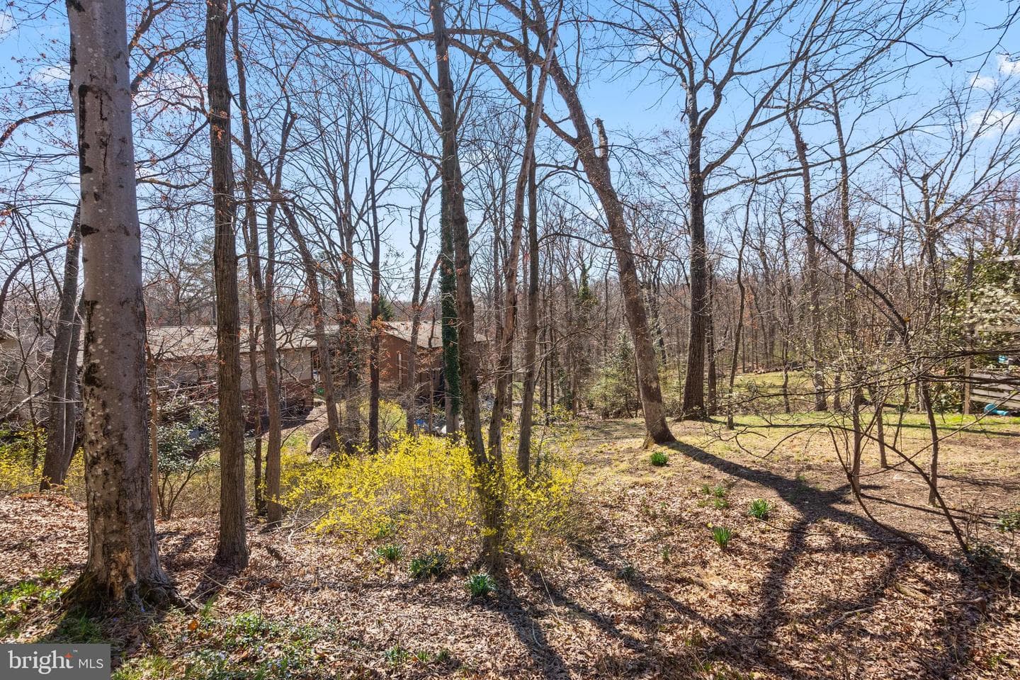 2617 Woodfern Court photo 45