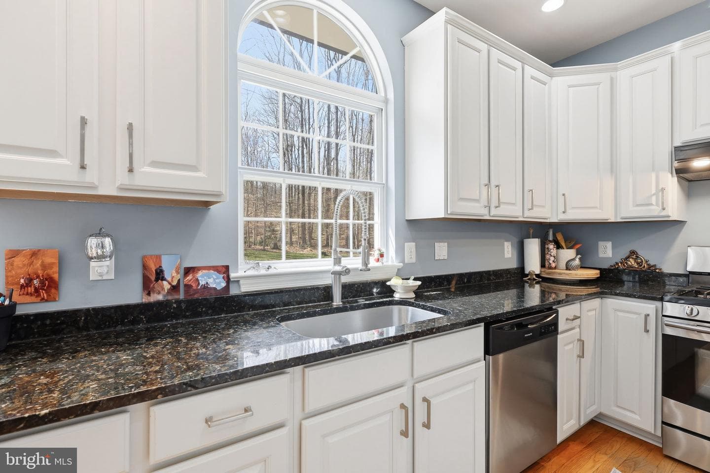 7100 Dark Forest Drive photo 8